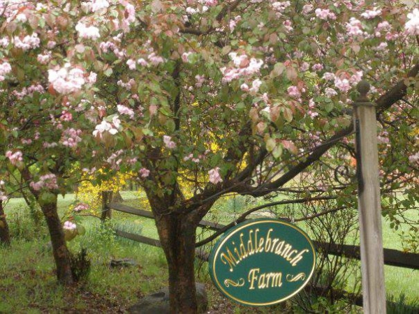 Middlebranch Farm, LLC