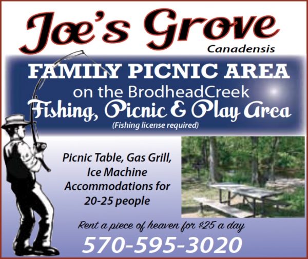 Joe&#039;s Grove - Family Picnic Area - Canadensis