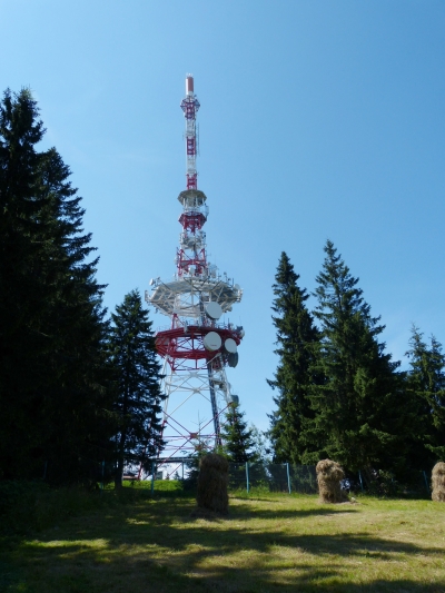 Cell Phone Tower Coming Soon to High Acres Park?