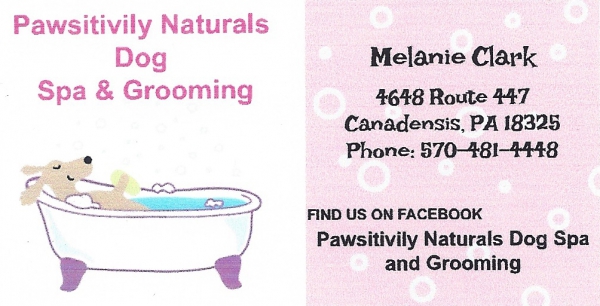 Pawsitively Naturals Dog Spa &amp; Grooming